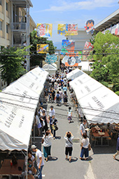 Plants: image 4 0f 4 thumb