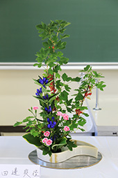 Plants: image 2 0f 4 thumb