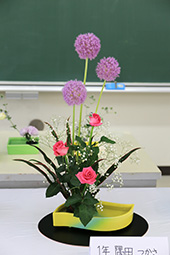 Plants: image 2 0f 4 thumb