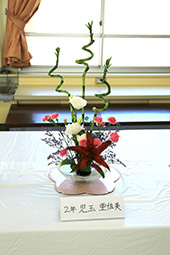 Plants: image 2 0f 4 thumb