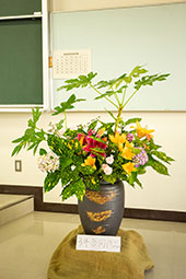 Plants: image 2 0f 4 thumb