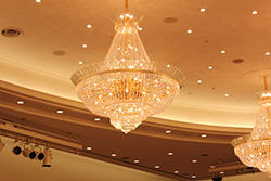 Plants: image 1 0f 4 thumb