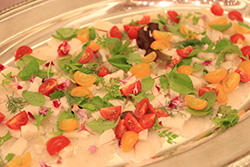 Plants: image 1 0f 4 thumb