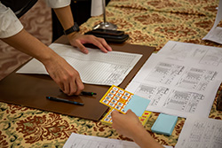 Plants: image 1 0f 4 thumb