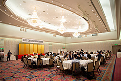 Plants: image 1 0f 4 thumb