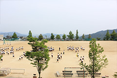 Plants: image 1 0f 4 thumb