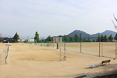 Plants: image 1 0f 4 thumb