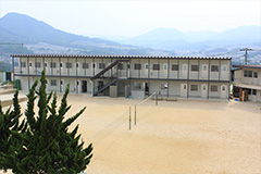 Plants: image 1 0f 4 thumb