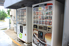 Plants: image 1 0f 4 thumb