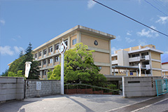 Plants: image 1 0f 4 thumb