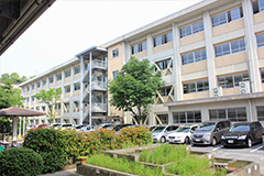 Plants: image 1 0f 4 thumb