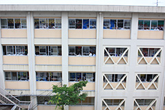 Plants: image 1 0f 4 thumb