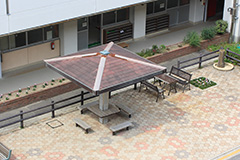 Plants: image 1 0f 4 thumb