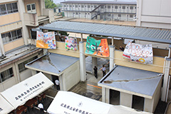 Plants: image 1 0f 4 thumb