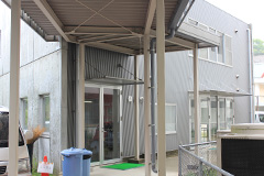 Plants: image 1 0f 4 thumb