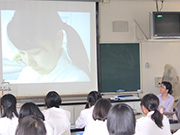 Plants: image 2 0f 4 thumb