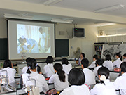 Plants: image 3 0f 4 thumb