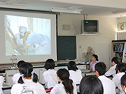 Plants: image 4 0f 4 thumb