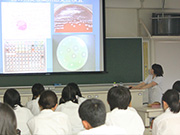 Plants: image 4 0f 4 thumb